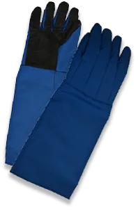 Gloves_img